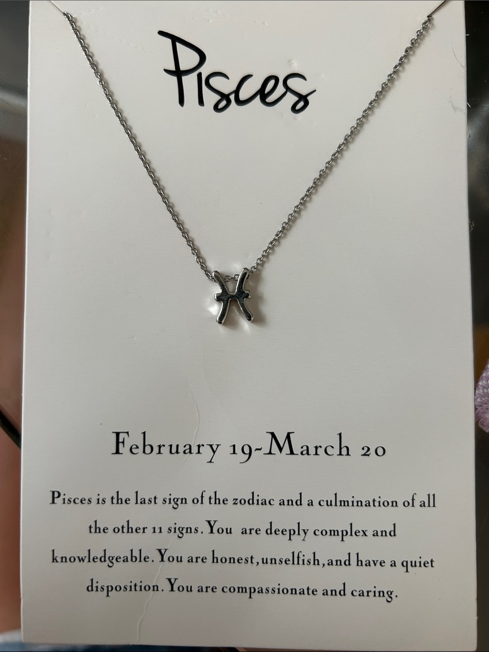 Pisces Zodiac Silver Pendant Necklace - Pisces